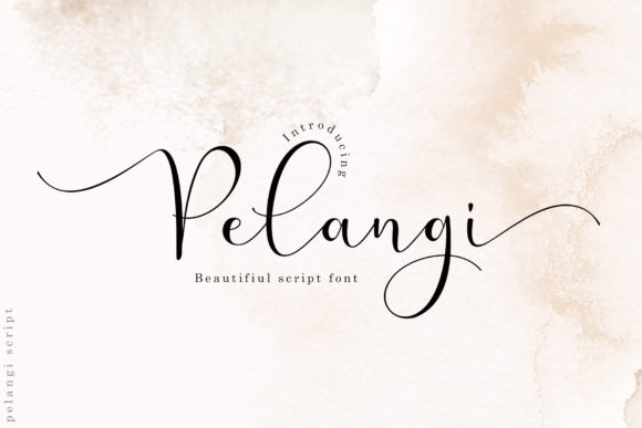 Pelangi: A Beautiful, Elegant Script Handwritten Font