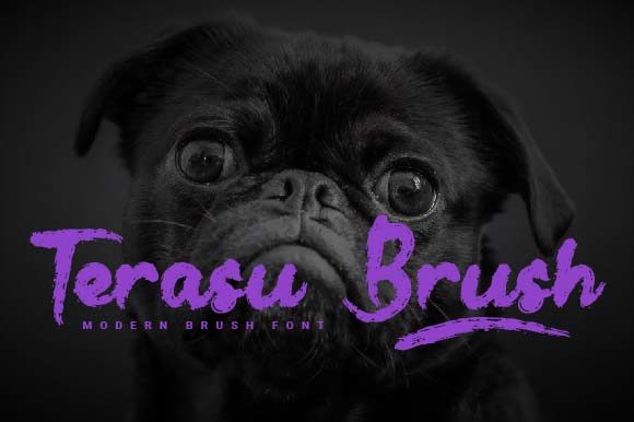 Terasu Brush Font for Creative Projects